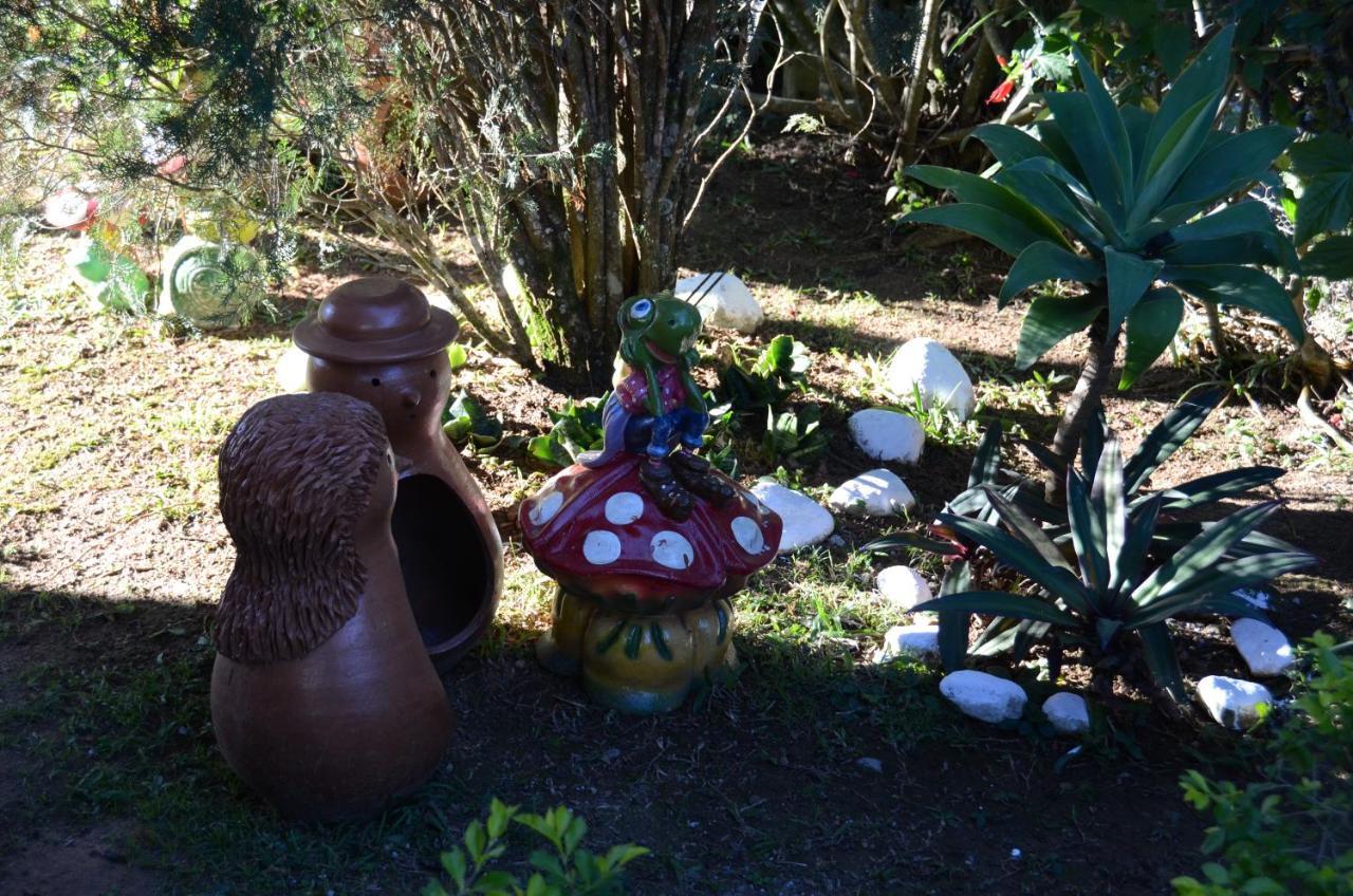 Villa Casa Em Penedo Penedo  Esterno foto
