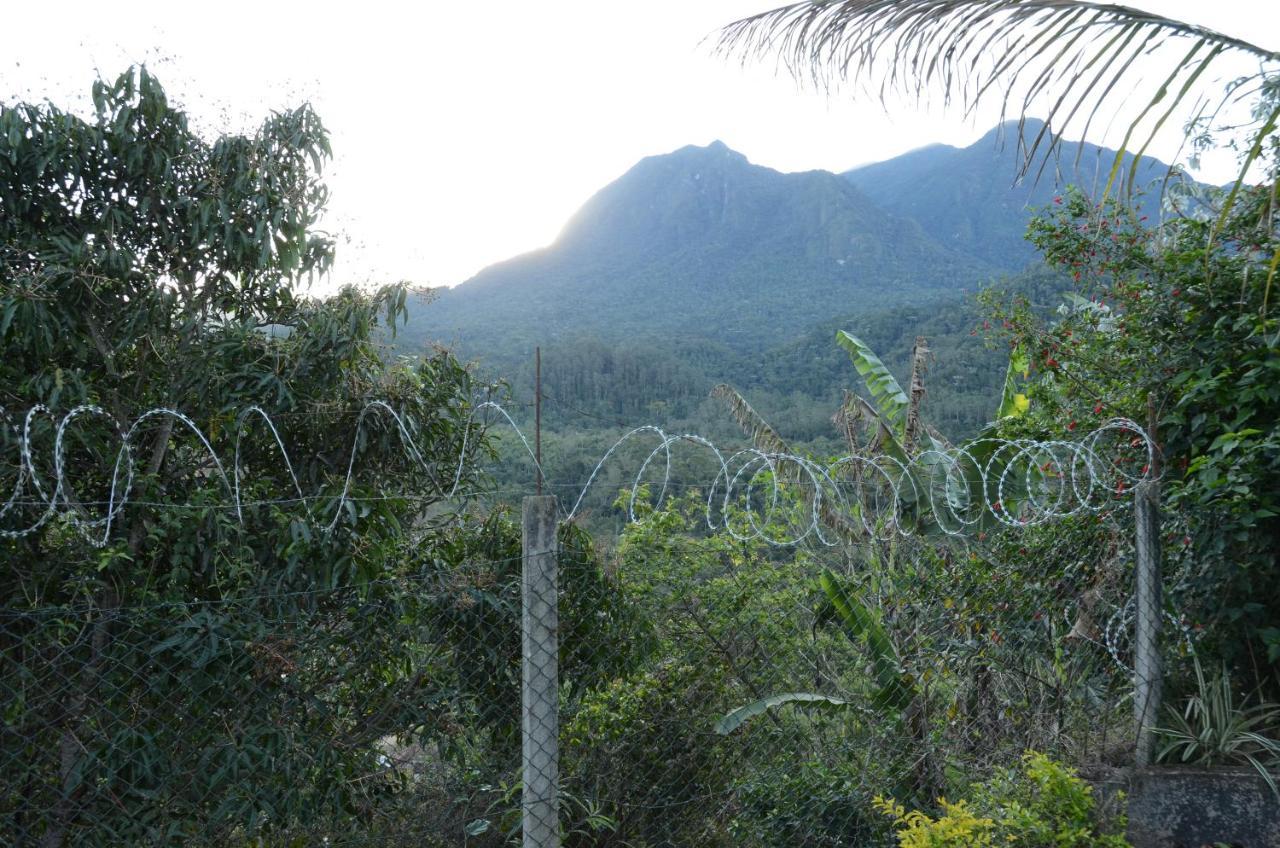 Villa Casa Em Penedo Penedo  Esterno foto